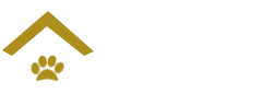 El Basenji Dorado