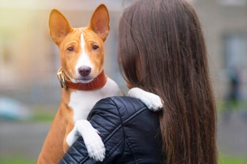 HOLA BIENVENIDOS AL MUNDO BBS