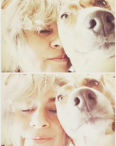 POR QUE TENER EN TU VIDA UN BASENJI???